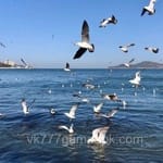 Avatar of Abdul Rahman